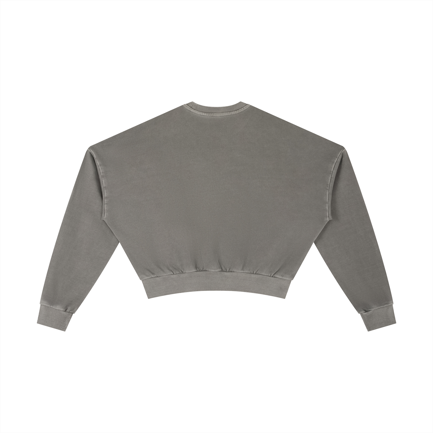 Disrupt Women’s Cropped Sweatshirt
