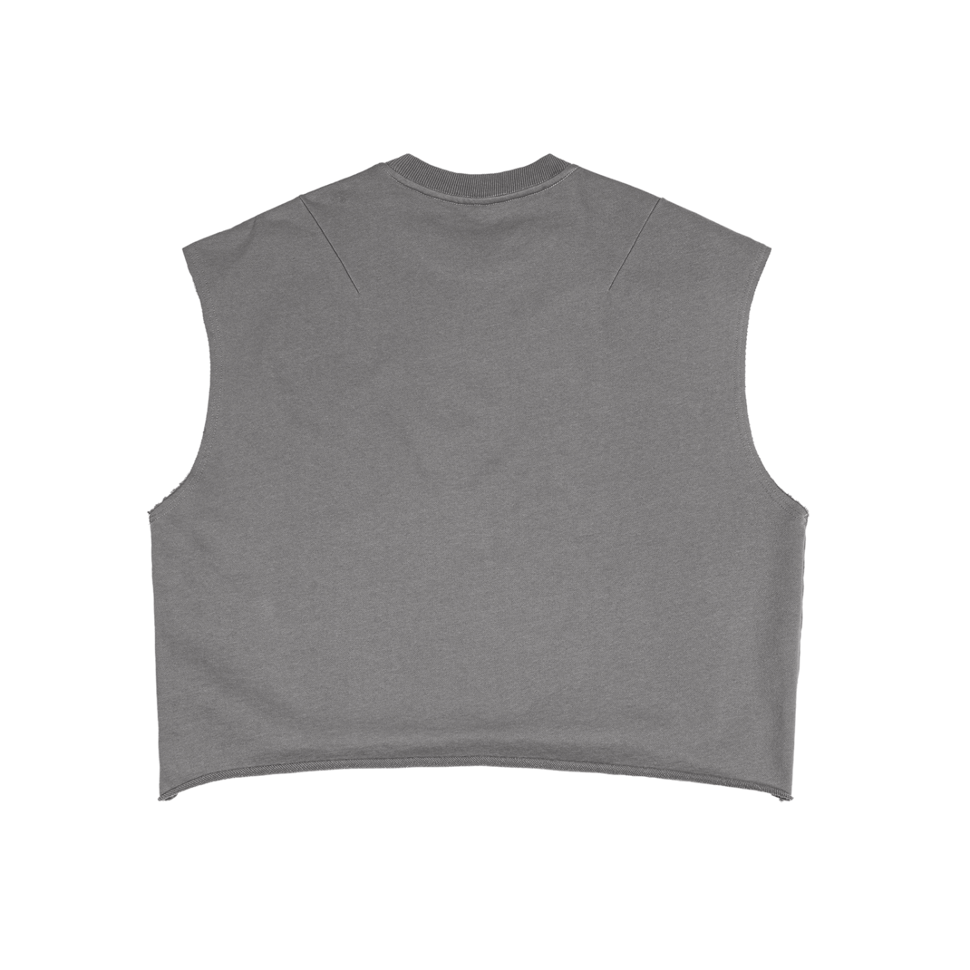 Disrupt "Flight" Boxy Tee