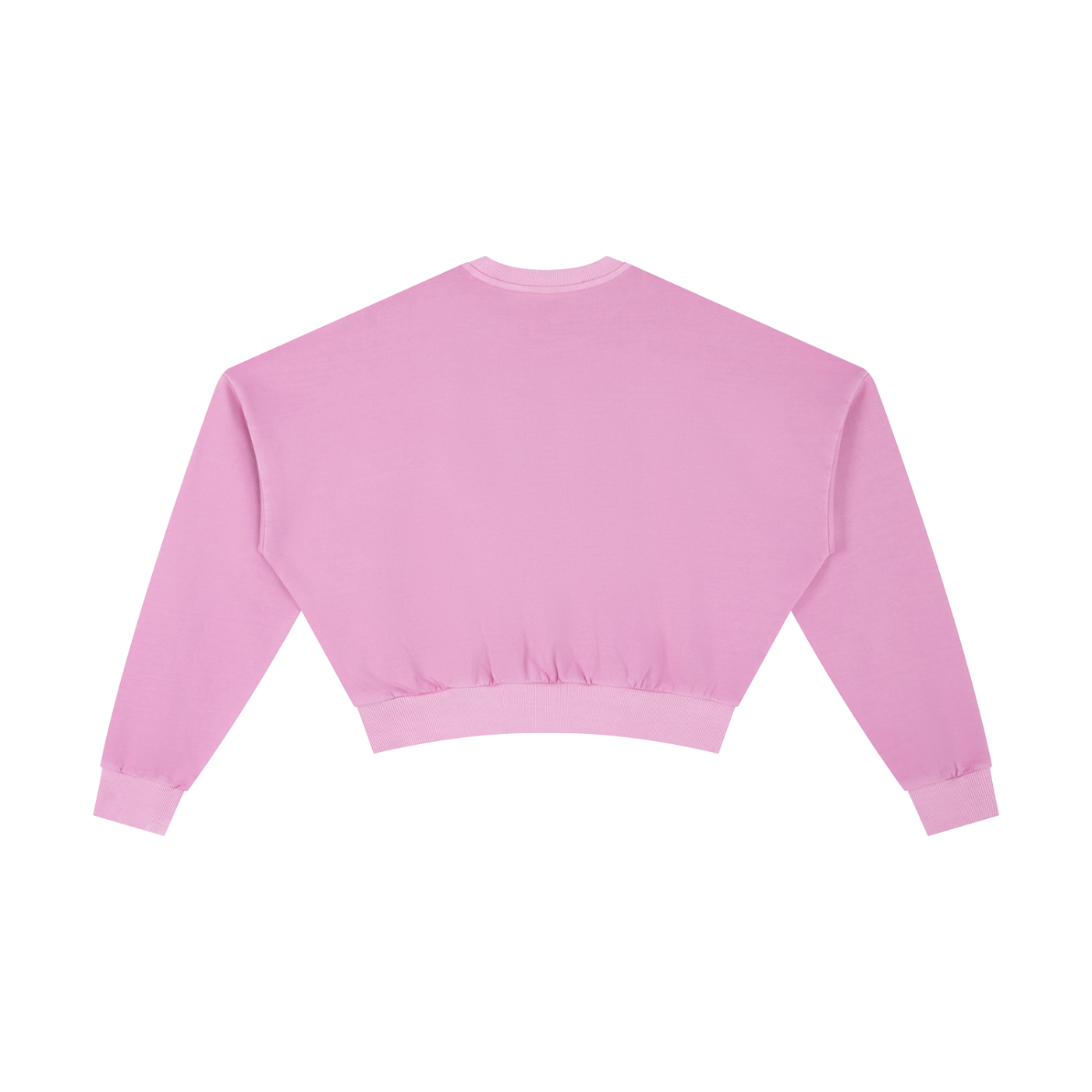 Disrupt Women’s Cropped Sweatshirt
