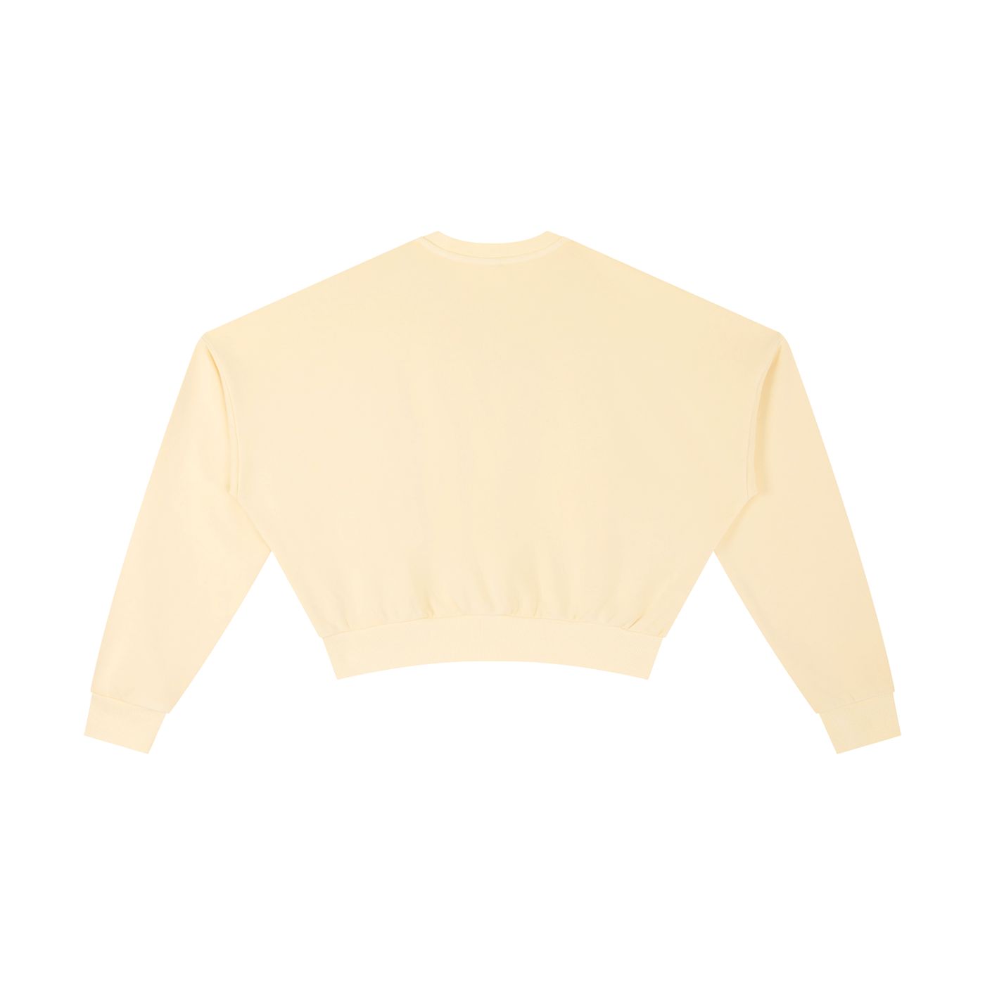 Disrupt Women’s Cropped Sweatshirt